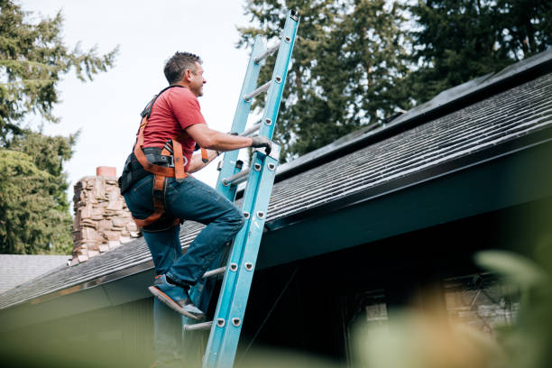 Best Roof Installation  in Little Walnut Village, NM